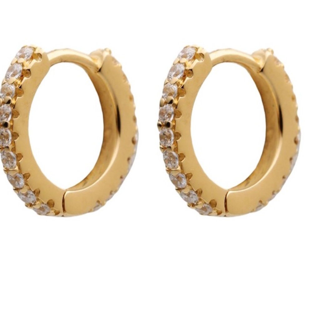 Gold hoop earrings!